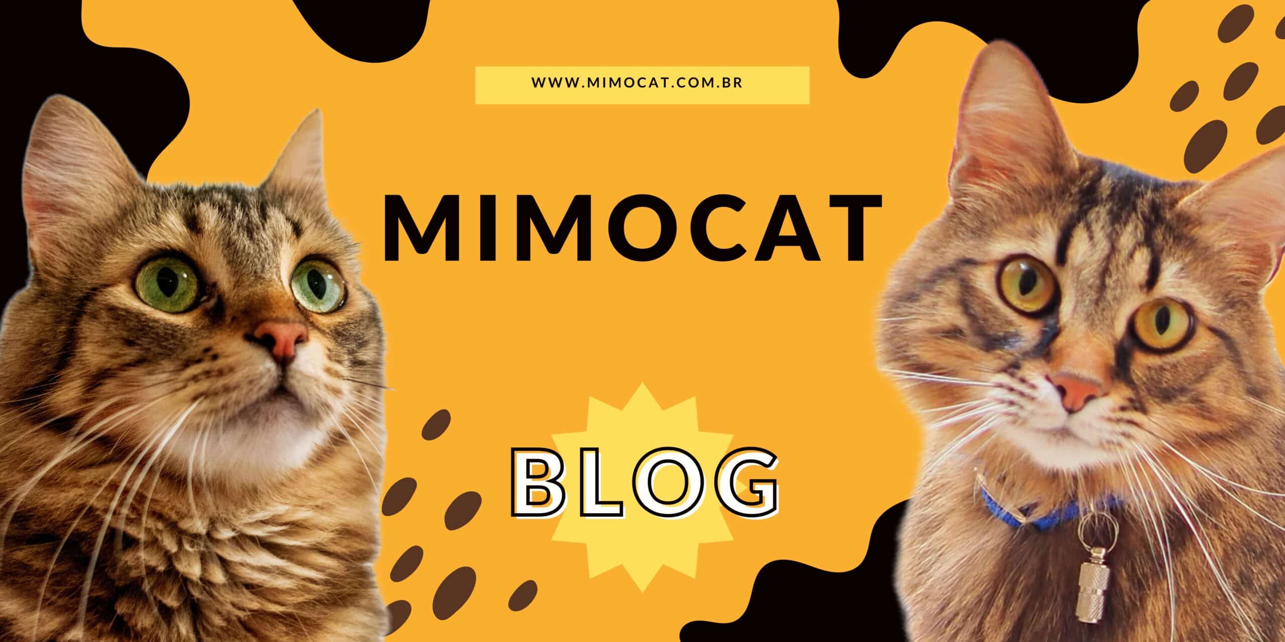 mimocat-banner-blog